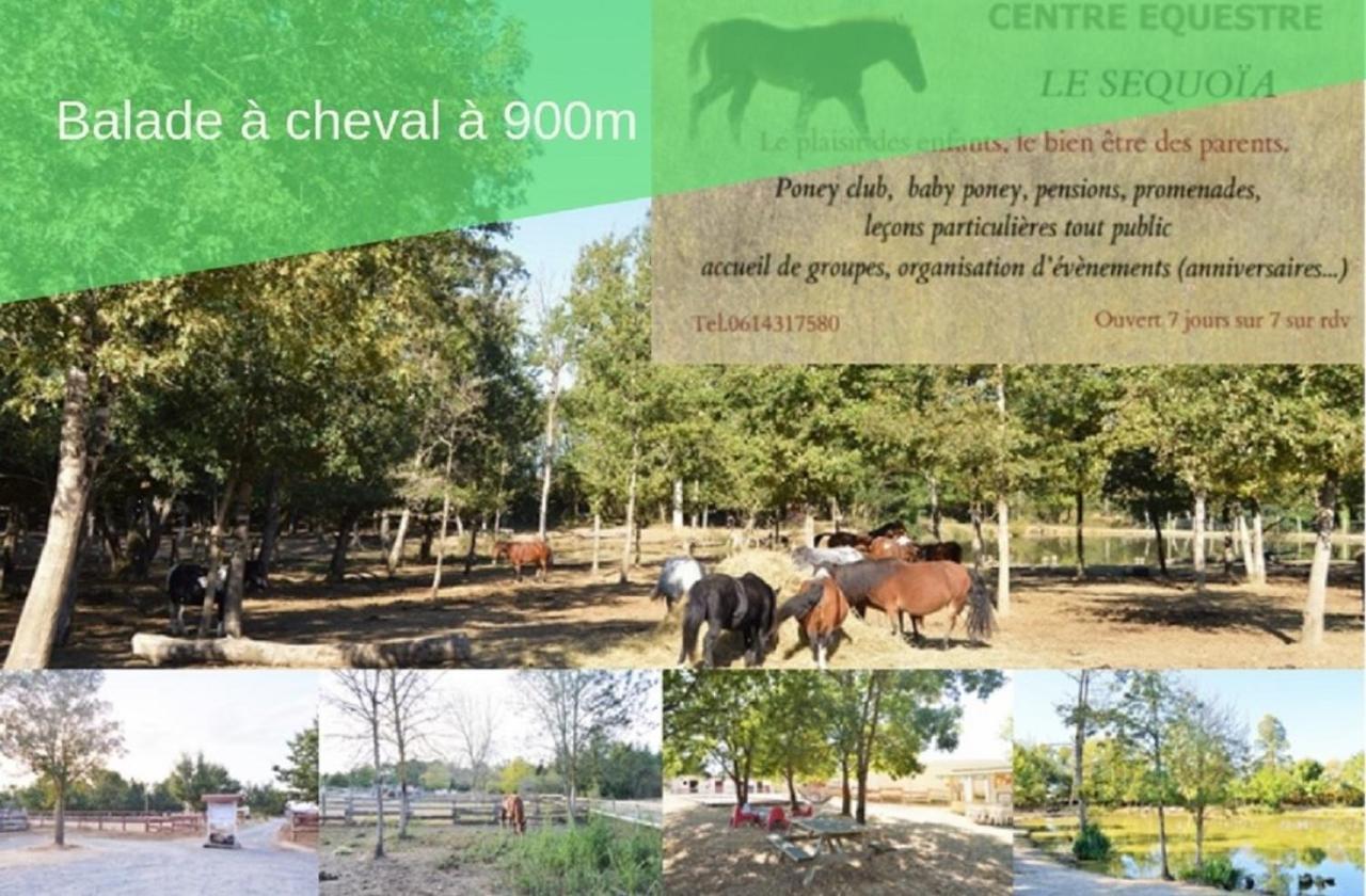 Le Grand Cottage Nature Piscine Chauffee Privee Du Tarn Entre Toulouse Et Albi & Les Cottages Du Tarn Peyrole エクステリア 写真